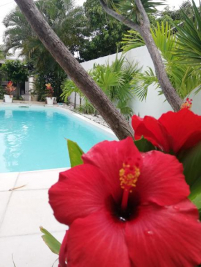 La Casita Blanca